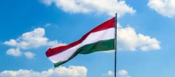 Co się działo w nocy? Wybory na Węgrzech. Peter Magyar zabrał głos po zwycięstwie Tiszy