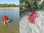 Interweniowała policja Makabryczne znalezisko nad Wisłą! Plażowicz wyłowił ludzką czaszkę