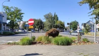 Zaskoczenie? Piękne, ale opuszczone. AI wybrało najgorsze miasto do życia na Podlasiu