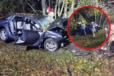 Śmiertelny wypadek 29-latka zginęła po roztrzaskaniu się o drzewo! Nocna makabra pod Bełchatowem [ZDJĘCIA]