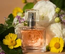 Strefa perfum Perfumy, które dodają słońca w deszczowe dni. Biegnij do Rossmanna, a jeszcze zgarniesz je za mniej niż 100 zł. Zapach soczystej porzeczki, który ukołysze do snu lepiej niż męski dotyk