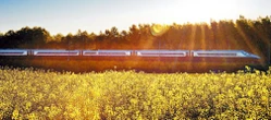 Polacy masowo i spontanicznie rzucili się na pociągi PKP intercity. O co chodzi?