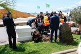 Palma runęła w tłum! Dramat na festiwalu w Cannes! Producent uderzony przez palmę trafił do szpitala