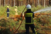 Płonie las Ogromny pożar w Małopolsce! Z ogniem walczy 120 strażaków. W akcji samolot gaśniczy