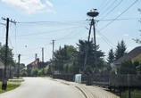 Jedźcie ostrożnie! Nietypowe zagrożenie na drogach. Tego się nie spodziewacie!
