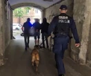 CIOS W DILERÓW Magazyn śmierci na Brzeskiej zlikwidowany! W Warszawie zabezpieczono 3 kg narkotyków