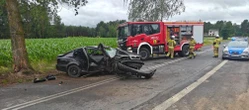Straszne 21-latek roztrzaskał Skodę na drzewie. Koszmarny widok w miejscu wypadku