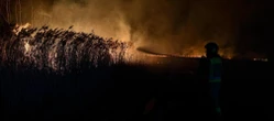 nocna akcja strażaków Wielki pożar w Lędzinach na Śląsku! Na miejscu pracowało 52 strażaków [ZDJĘCIA]