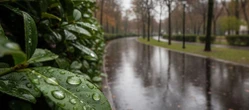 Deszczowy początek i koniec weekendu w Gdańsku. Prognoza zapowiada jeden dzień przerwy