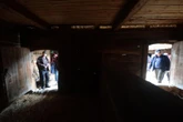 Skansen w Lublinie Nowa atrakcja w Muzeum Wsi Lubelskiej