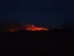 Pilne! Tragedia na Lubelszczyźnie. Samolot runął na ziemię w trakcie gaszenia pożaru!