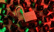 Cybergang, quanto male fanno e a chi. Lo stato dell'arte in Italia