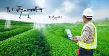 Agronomo, esperto di dati e tecnologia: ecco l’agricoltore del futuro