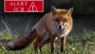 Alert RCB na Podkarpaciu. Służby wydały komunikat