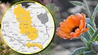Takiej nocy dawno nie było. Ostrzeżenia dla kilku województw