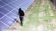 Lubuskie. Zniszczył farmę fotowoltaiczną. Straty oszacowano na ponad 300 tys. zł