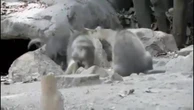 Los nuevos inquilinos del zoo de Chapultepec en Ciudad de México