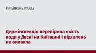 Держінспекція перевірила якість води у Десні на Київщині і відхилень не виявила