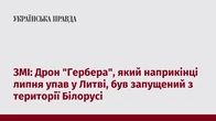 ЗМІ: Дрон "Гербера", який наприкінці липня упав у Литві, був запущений з території Білорусі