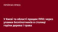 У Києві та області працює ППО: через уламки безпілотників в столиці горіли дерева і трава