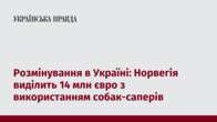 Розмінування в Україні: Норвегія виділить 14 млн євро з використанням собак-саперів