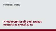 У Чорнобильській зоні триває пожежа на площі 20 га