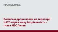 Російські дрони впали на території НАТО через нашу бездіяльність – глава МЗС Литви