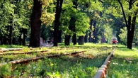 Києву повернули майже 30 гектарів у Пущі-Водиці