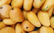 ¿Qué enfermedades ayuda a prevenir el mango?