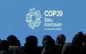 COP29 | Ambientalistas califican el acuerdo alcanzado como ‘pobre, muy decepcionante e inadecuado’