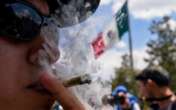 Día Mundial de la Marihuana: ¿por qué se celebra hoy 20 de abril?