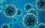 Estudio abre la puerta a usar un medicamento contra el cáncer para el Covid-19