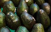 Aguacateros buscan diversificar sus exportaciones ante los aranceles de EU