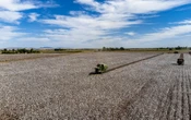 La tierra no es de nadie | Artículo de Ross Barrantes