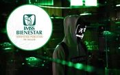 Experto confirma que base de datos del IMSS está a la venta en la Dark Web; IMSS niega hackeo y señala posible filtración