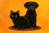 Rituales de sacrificio y maltrato de perros y gatos podrían aumentar en octubre y noviembre: SSC