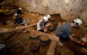 Un niño decapitado hace 850 mil años: nueva prueba de canibalismo en Atapuerca