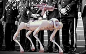 Perro robot armado llega a policía de Zacatecas