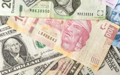Profeco | Estas remesadoras te dan más pesos por dólar