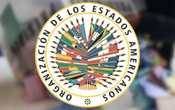 OEA | Elección judicial tranquila pero de baja participación; permanece en México para cómputos