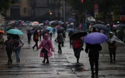 ¿Lluvias intensas? Sigue estas recomendaciones