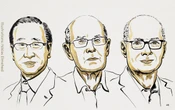 Nobel de Química 2025 a Kitagawa, Robson y Yaghi por el desarrollo de estructuras metalorgánicas