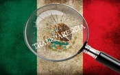 Sistema Nacional Anticorrupción enfrenta crisis de legitimidad y operación, señala Mexiro