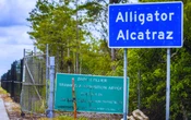 EU comienza a deportar a migrantes en vuelos desde ‘Alligator Alcatraz’