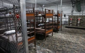 Reportan seis hospitalizados en Alligator Alcatraz por condiciones insalubres