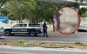 Arrojan cabeza humana frente al Zoológico de Culiacán