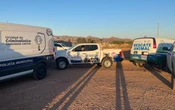 Perros mueren sumergidos en chapopote en Chihuahua; autoridades investigan