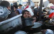 El precio de los alimentos en Gaza se ha multiplicado por 40: UNRWA