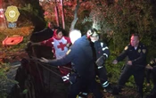 Rescatan a cuatro jóvenes que cayeron a un barranco en Chapultepec