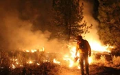 Envían tercer grupo de brigadistas mexicanos para sofocar incendios en Canadá